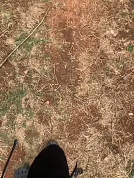 Black mamba madingo online show from February 2025 01:10:01 PM