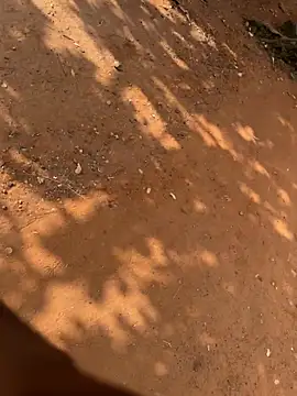 Black mamba madingo online show from March 2026 08:41:02 AM