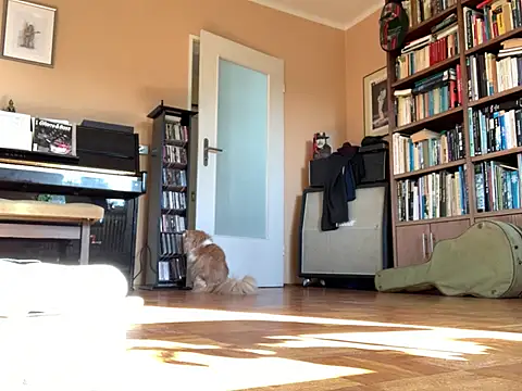 Bula94193 online show from March 2026 09:13:01 AM