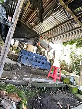 Jestebanano online show from May 2026 03:41:01 PM