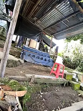 Jestebanano online show from May 2026 01:08:01 PM