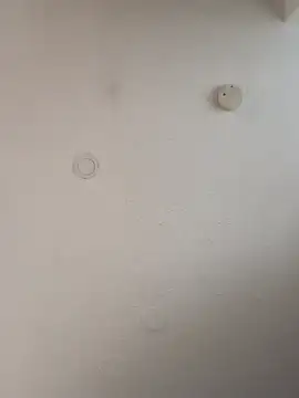 geilerschwanz64 online show from January 2025 12:10:01 PM