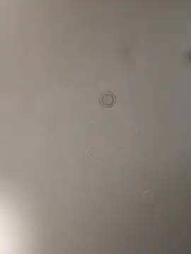 geilerschwanz64 online show from January 2025 08:37:01 PM