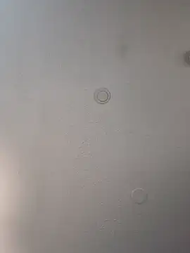 geilerschwanz64 online show from February 2025 09:19:02 PM