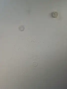 geilerschwanz64 online show from March 2025 10:18:02 PM