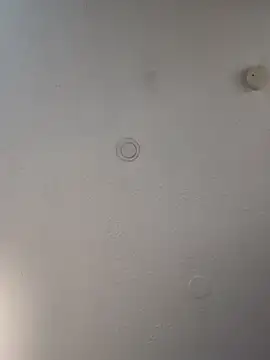 geilerschwanz64 online show from March 2025 06:05:02 AM