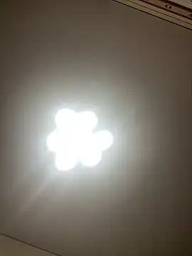 Snapshot of Janet_Welder chatting on December 2024 06:56:02 PM Janet Welder online show from December 2024 06:56:02 PM