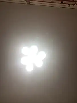 Janet Welder online show from November 2025 08:25:02 PM