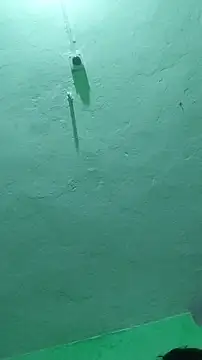 RADHAHO online show from October 2025 07:23:02 PM