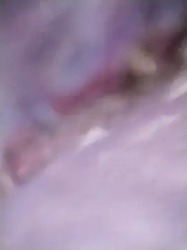 Meri-javani online show from September 2025 07:57:01 PM