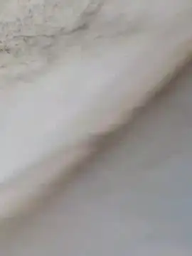 Snapshot of MrNick74 chatting on December 2025 12:24:02 PM MrNick74 online show from December 2025 12:24:02 PM