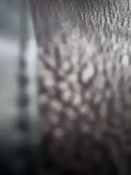 im lorein online show from January 2025 01:05:01 PM