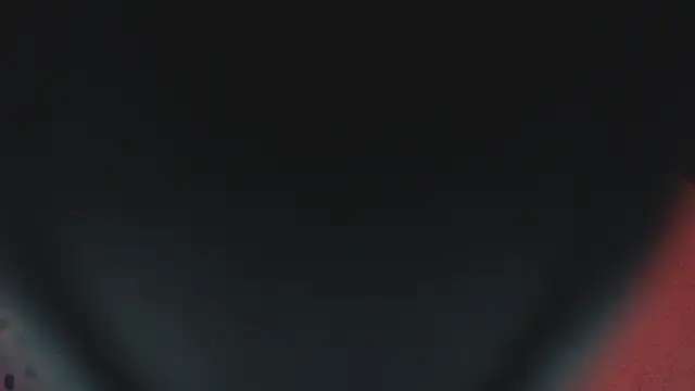 SashaBrianna99 online show from February 2025 10:09:02 PM