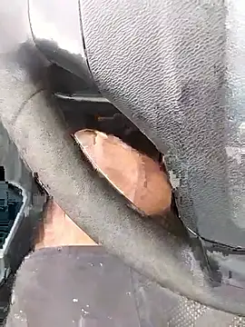 Blacklicious777 online show from January 2026 02:44:01 PM