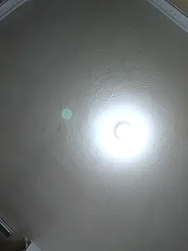 Snapshot of evafoxs chatting on March 2025 11:20:01 PM evafoxs online show from March 2025 11:20:01 PM