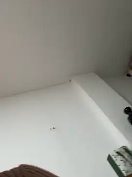 siri duque online show from January 2026 01:30:01 AM