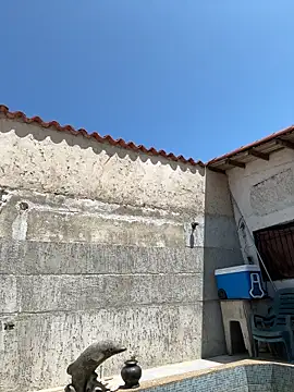 Snapshot of Leo_bunny_hot chatting on September 2025 05:29:02 PM Leo bunny hot online show from September 2025 05:29:02 PM