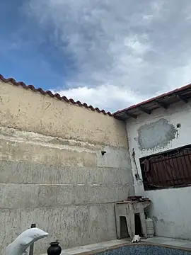 Snapshot of Leo_bunny_hot chatting on October 2025 08:42:02 PM Leo bunny hot online show from October 2025 08:42:02 PM