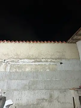 Snapshot of Leo_bunny_hot chatting on January 2026 02:24:01 AM Leo bunny hot online show from January 2026 02:24:01 AM