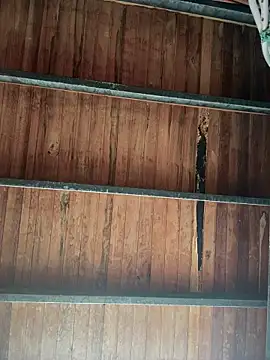 Snapshot of Leo_bunny_hot chatting on January 2026 08:23:01 PM Leo bunny hot online show from January 2026 08:23:01 PM