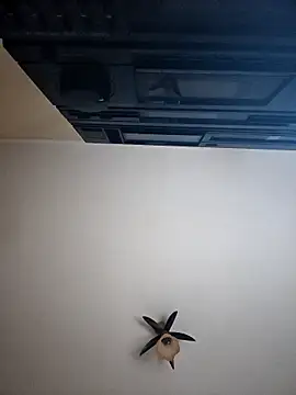 vulpe8400 online show from April 2026 10:10:01 PM