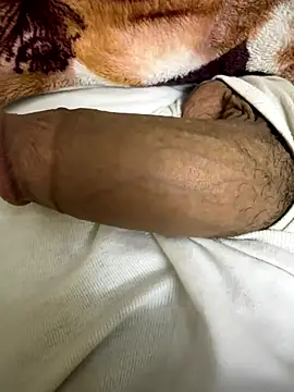 hamed-697 online show from December 2024 07:00:01 PM