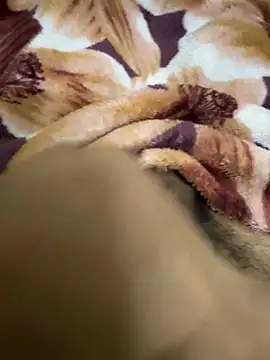 hamed-697 online show from December 2024 08:48:01 PM