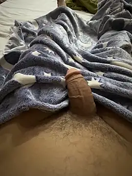 hamed-697 online show from February 2026 08:46:02 AM