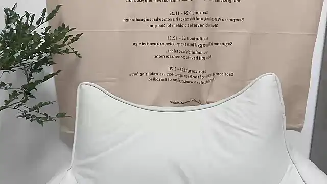 Arrebo1 online show from December 2024 02:37:01 PM