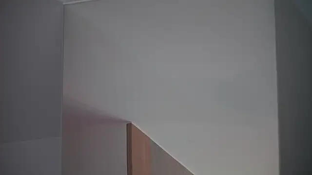 DreamSofia online show from March 2025 12:24:01 PM