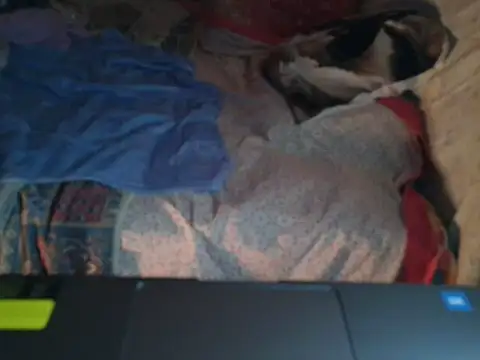 VeneRed online show from January 2026 06:55:01 PM