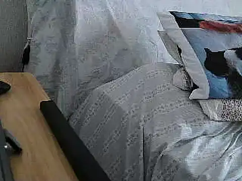 VeneRed online show from July 2026 01:24:01 PM