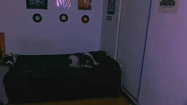 Snapshot of alex_one888 chatting on November 2025 11:03:01 PM alex one888 online show from November 2025 11:03:01 PM