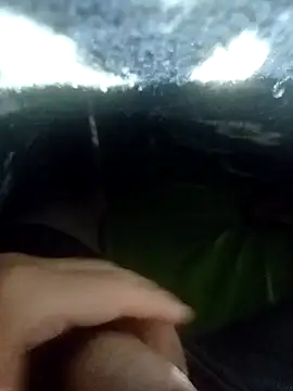 Snapshot of gato- chatting on January 2025 02:50:02 AM gato- online show from January 2025 02:50:02 AM