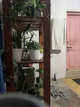 alburt 1996 online show from January 2025 03:02:01 PM