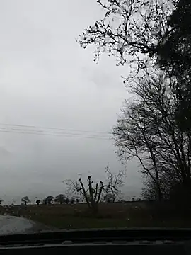 Snapshot of nataliecdlive chatting on November 2025 11:09:02 AM nataliecdlive online show from November 2025 11:09:02 AM