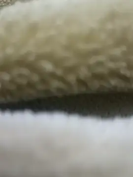 Anamika Kapoor online show from December 2025 07:10:01 PM