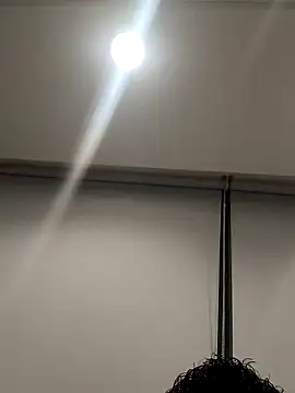 Snapshot of erickcpk1 chatting on December 2024 03:49:02 AM erickcpk1 online show from December 2024 03:49:02 AM