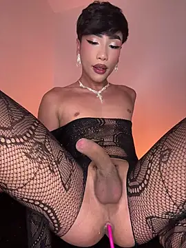 sue   0 online show from July 2026 02:05:17 AM