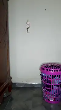 Snapshot of SuranSexy33 chatting on February 2025 05:00:01 AM SuranSexy33 online show from February 2025 05:00:01 AM