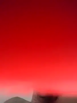 amostbb online show from February 2026 06:15:02 PM