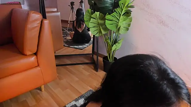 Belliinda 21 online show from February 2026 07:02:02 PM