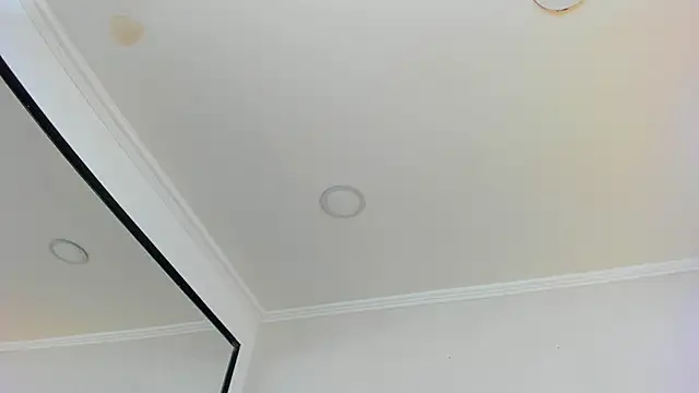 Loggan donnelly online show from March 2025 10:55:02 PM