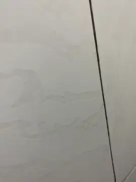 Snapshot of picatorta19 chatting on December 2025 06:25:02 PM picatorta19 online show from December 2025 06:25:02 PM