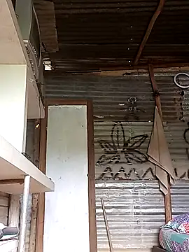 tayson  online show from February 2025 03:00:01 PM