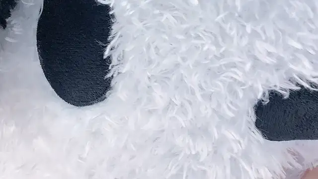 chloe-01 online show from March 2025 04:05:01 AM