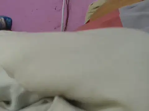 Snapshot of Cheliafun chatting on June 2026 01:33:01 PM Cheliafun online show from June 2026 01:33:01 PM