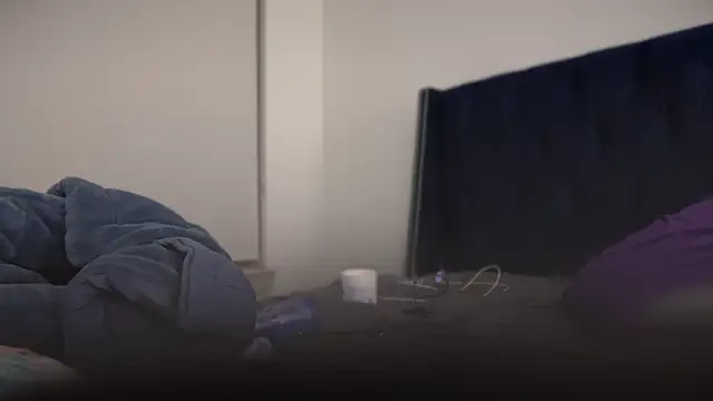 bearcloudcomputa online show from January 2025 11:56:02 PM