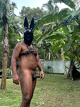 DragonLover 93 online show from December 2025 11:26:02 AM