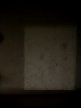 Leocesar37 online show from May 2026 10:06:02 PM